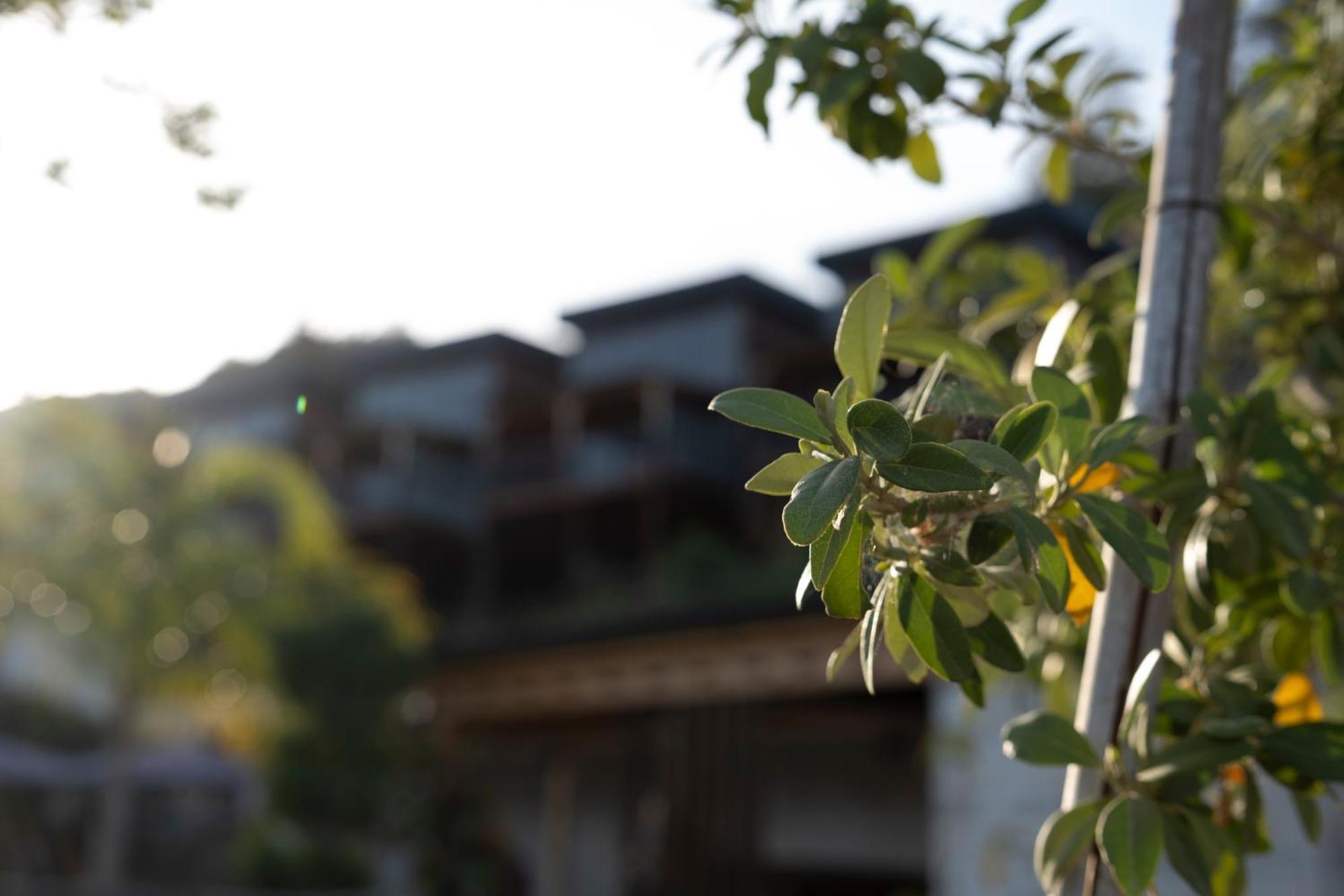 La Veranda Villas Kumluca المظهر الخارجي الصورة